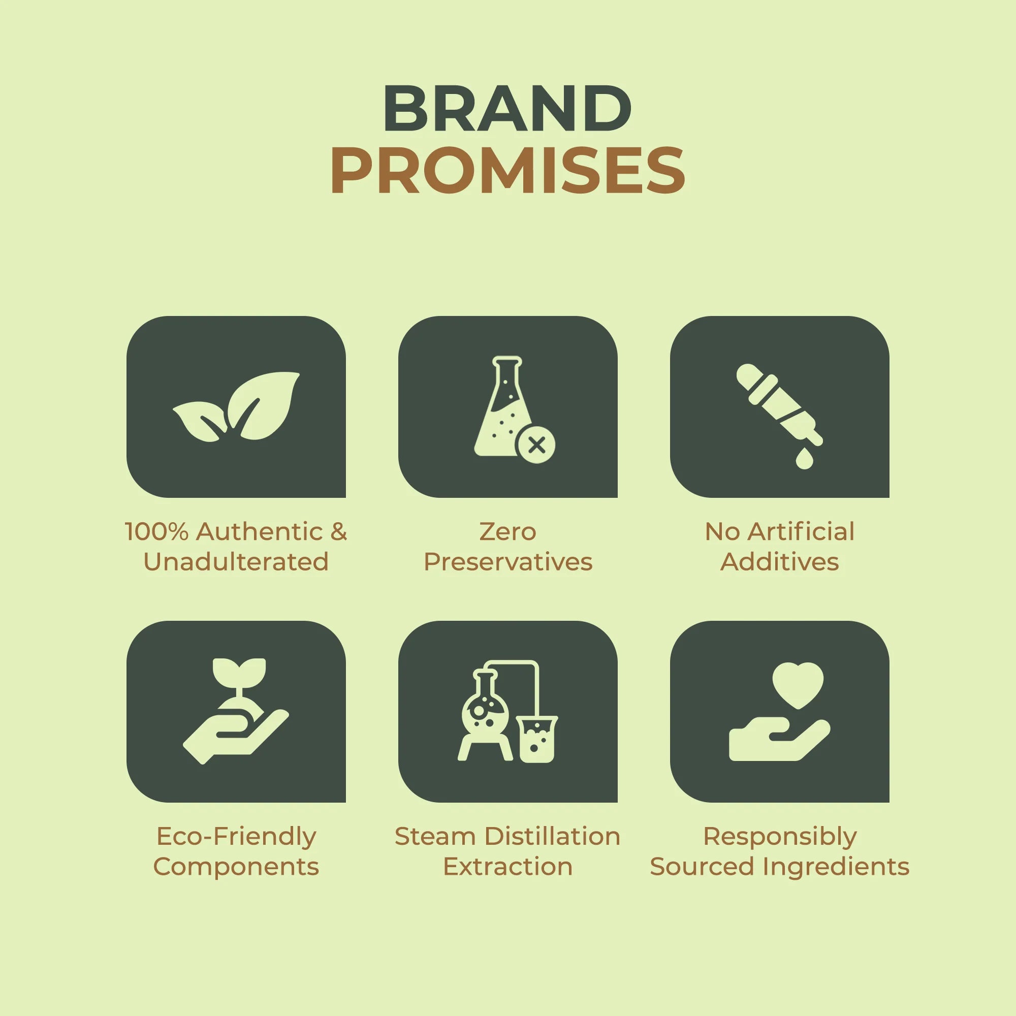 Salvia Natural Carrier Oils Green Tea Oil Salvia Natural Carrier Oils Green Tea Oil